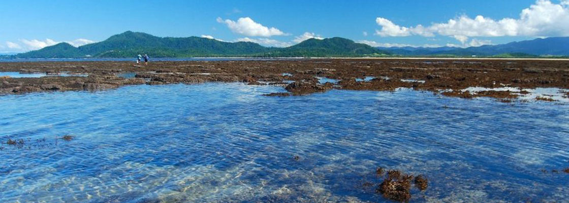 Kings Reef